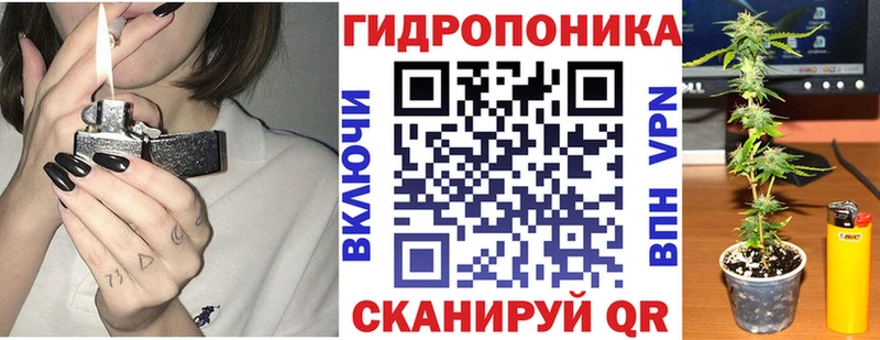 Канабис сатива  Тамбов 